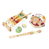 Conjunto de instrumentos musicales Janod Sunshine
